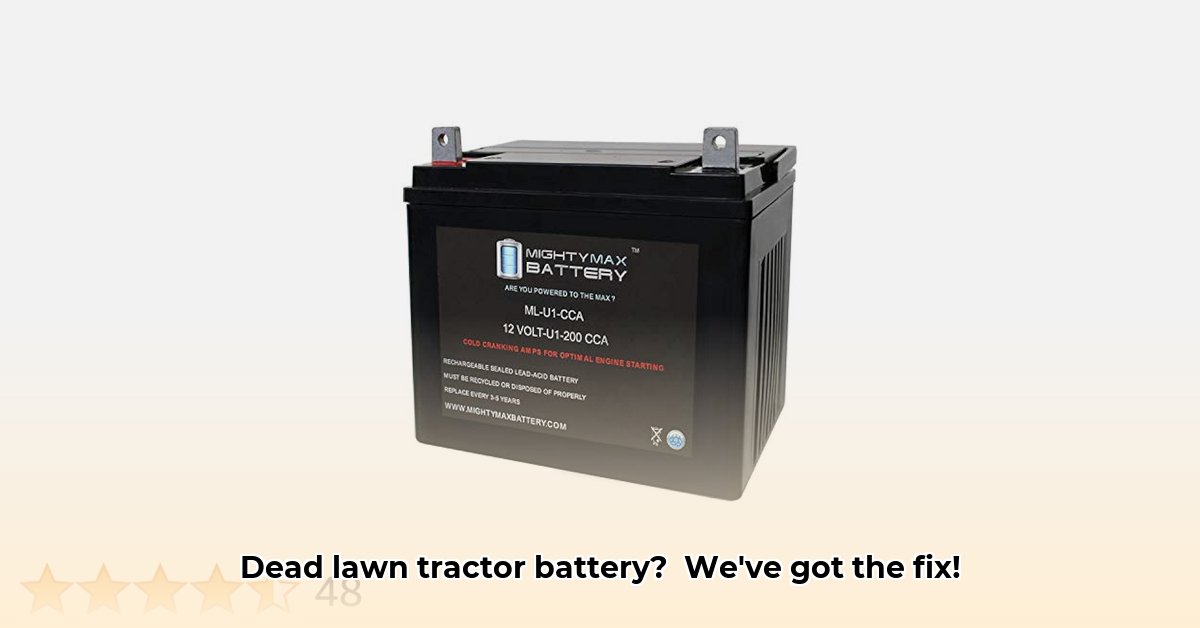 lawn-tractor-battery-u1